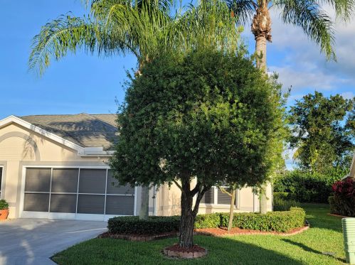 4237 Home Way, Fort Pierce, FL 34952-4728