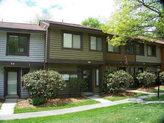 53 Swiss Mountain Dr, Champion, PA 15622-2007