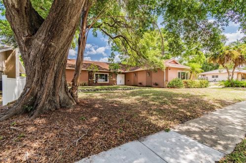 2195 Orangepointe Ave, Palm Harbor, FL 34683-3141