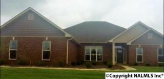 108 River Run Ln, Madison AL  35756-2818 exterior