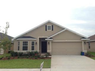 705 Brenton Leaf Dr, Ruskin, FL 33570-7921