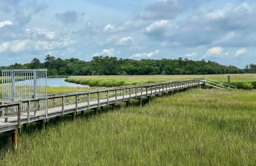 96 Salty Tide Cv, Mount Pleasant SC  29464-7925 exterior