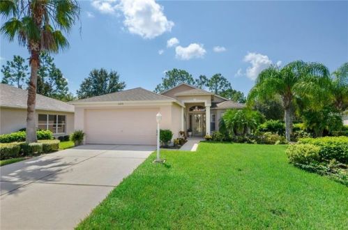 11428 Hidden Cove Ct, New Port Richey, FL 34655-7100