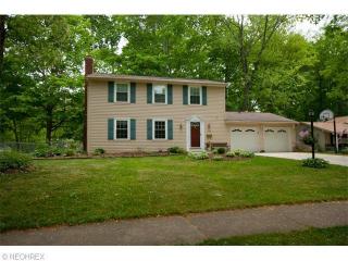 710 Falling Oaks Dr, Medina, OH 44256-2778