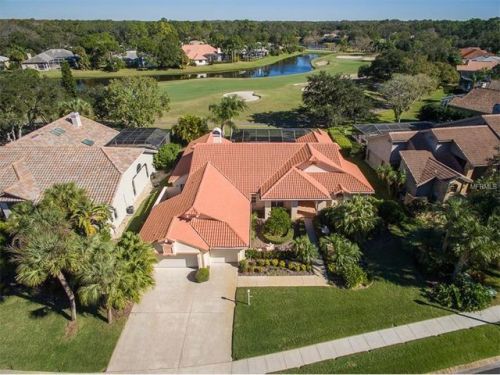 60 Turtle Creek Cir, Oldsmar, FL 34677-1912