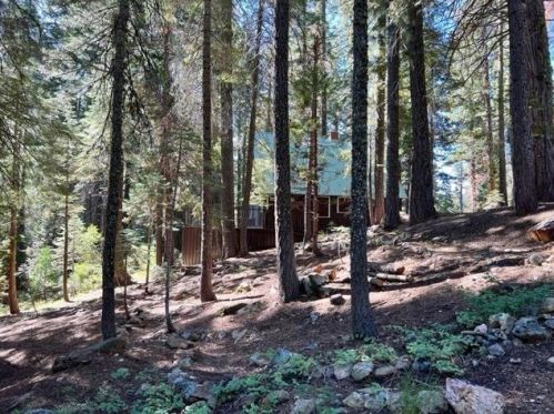 12 Carvin Crk, Calpine, CA 96124-9808