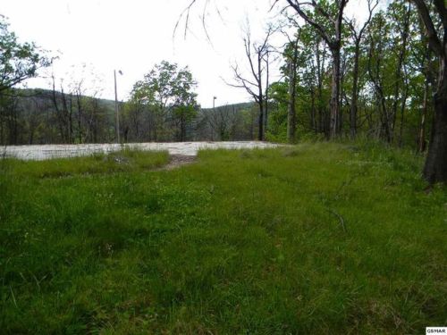 1324 Garrett Dr, Gatlinburg, TN 37738-4211