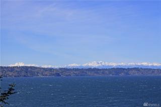 16769 Maplewild Ave, Seattle, WA 98166-3167