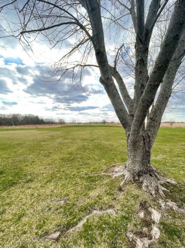 386 650, Valpo IN  46383-9517 exterior