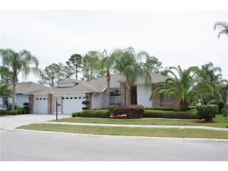 18138 Nestlebranch Ct, Port Richey, FL 34667-5575