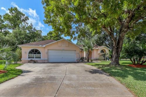 10400 Tilburg St, Brooksville, FL 34608-2846