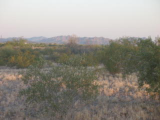 2216 353rd Ave, Tonopah, AZ