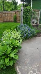 1631 110th St, Indianapolis IN  46280-1210 exterior