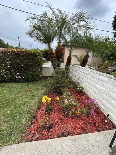 4942 Willmonte Ave, Temple City, CA 91780-4044