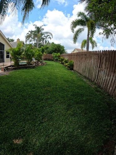 801 Live Oak Ave, Saint Petersburg FL  33703-3177 exterior