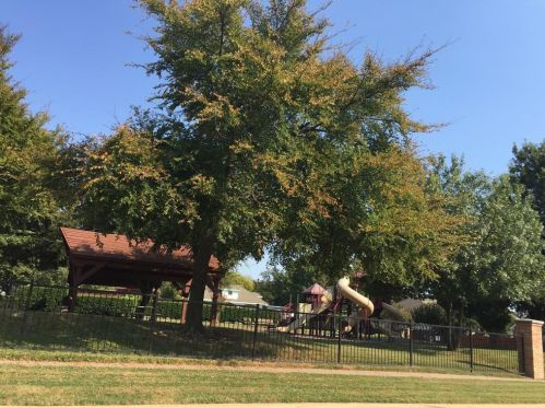 3631 Mackenzie Ln, Richardson TX  exterior