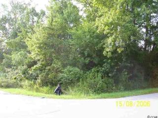 602 Deer Run Ave, Georgetown SC  29440-4842 exterior