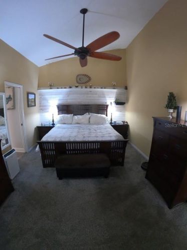 801 Live Oak Ave, Saint Petersburg FL  33703-3177 exterior