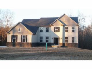 4487 Joeys Ln, Medina, OH 44256-6977