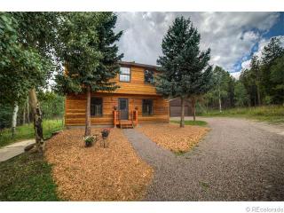 8600 Warhawk Rd, Conifer, CO 80433-9625