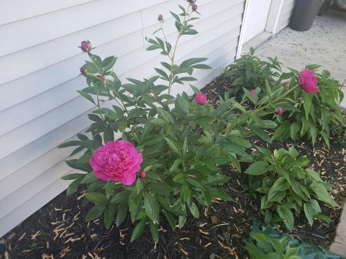 3741 60, Milwaukee WI 53216-2131 exterior