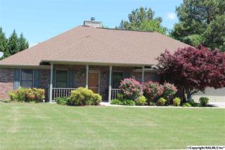 120 Radisson Ln, Madison, AL 35758-7695