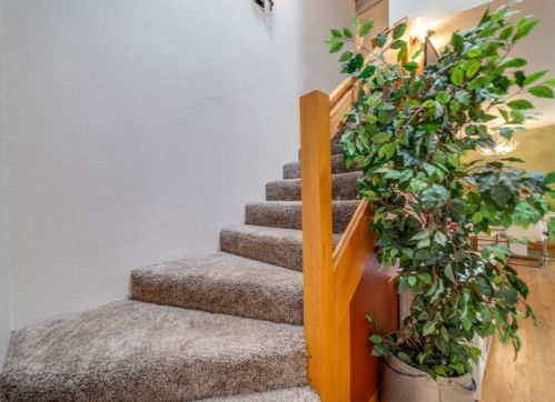 5043 Virginia Bird Mine Ct, Michigan Bluff CA  95631-9733 exterior