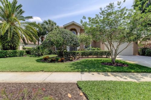 3902 Moreno Dr, Palm Harbor, FL 34685-3647