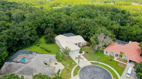 3874 Crescent Cove Pl, Tarpon Springs FL  34688-7708 exterior