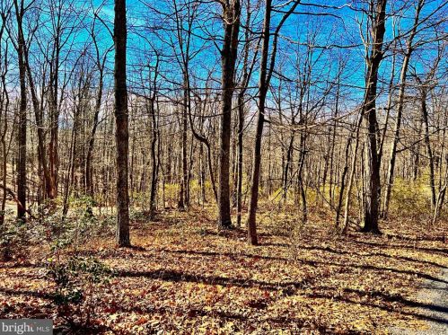 81 Ridge Runner Rd, Wardensville, WV 26851-8366