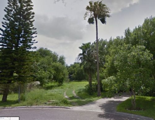 403 Monterey Dr, Campo Alto, TX 78516-7275