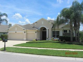 16211 Ivy Lake Dr, Odessa, FL 33556-6047