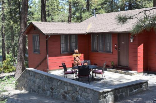 972 Pheasant Rd, Wrightwood, CA