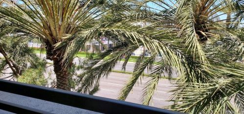 1338 Scholarship, Irvine, CA 92612-5686