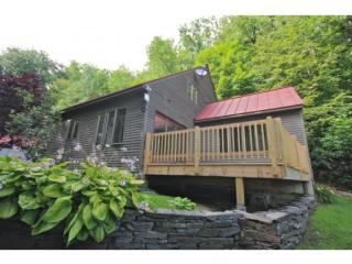 178 Rowe Hill Rd, Brownsville, VT 05037-4407