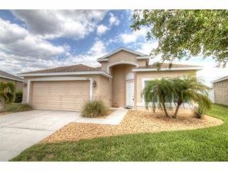 709 Griffen Heights Ct, Ruskin, FL 33570-2002