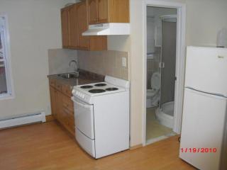 1304 Monroe St, Endicott NY  13760-5425 exterior