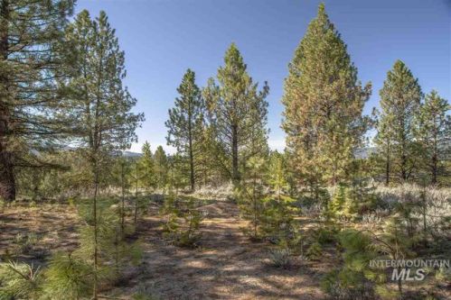 12 Carey Way, Warm Lake, ID 83611-5081