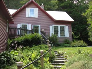 63 Cemetery Rd, Chester, VT 05143-9673