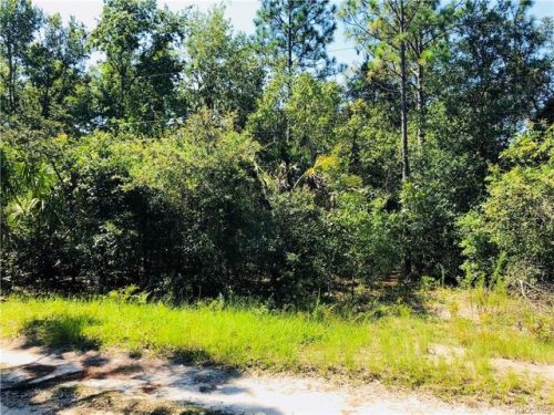 6680 Tortoise Ln, Homosassa, FL 34448-3323