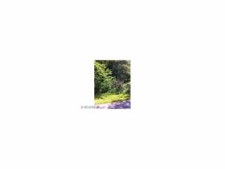 47834 Tomahawk Dr, Negley, OH 44441-9745