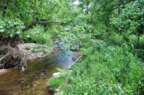 2920 Crawford Rd, Everton, AR 72633-8178