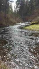 5320 Eloika Rd, Milan, WA 99003-7775