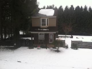 413 Ringtown Blvd, Pattersonville, PA 17967-9799