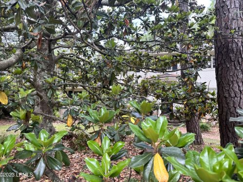 103 Hermitage Rd, Beaufort SC  29902-5321 exterior