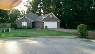 239 Reed Cir, Medina, TN 38355-9818