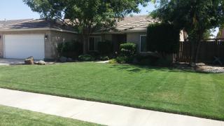 1399 Summerwind Dr, Lemoore CA  93245-1785 exterior