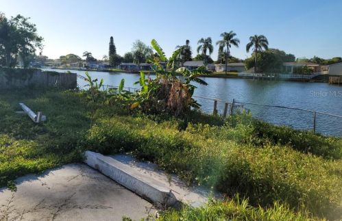 4101 Baden Dr, Tarpon Springs, FL 34691-3411