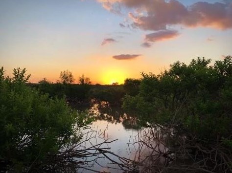 9108 Shoshone Trl, Lewisville TX  75022-7039 exterior