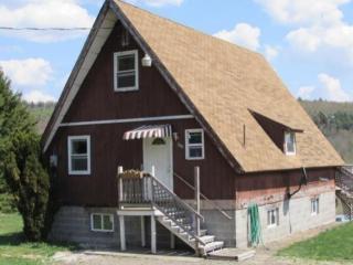 470 Dog Hill Rd, Maryland, NY 12116-3011
